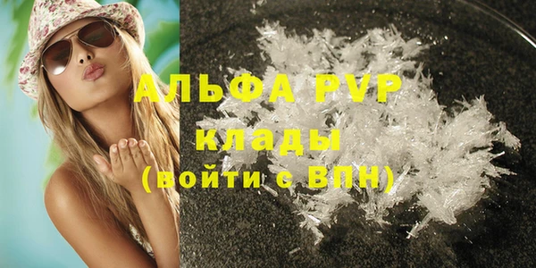 стафф Алзамай