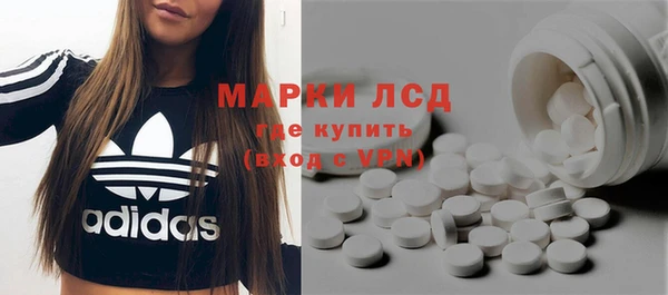 стафф Алзамай