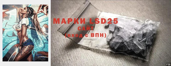 стафф Алзамай